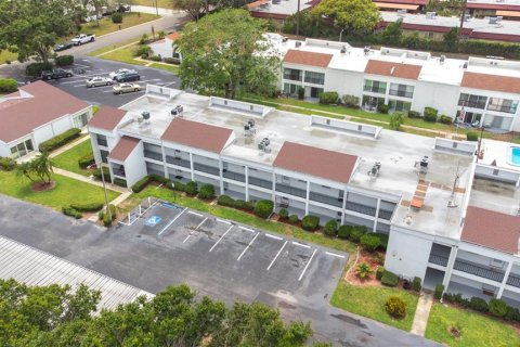 Condo in Clearwater, Florida, 1 bedroom  № 1767480 - photo 29