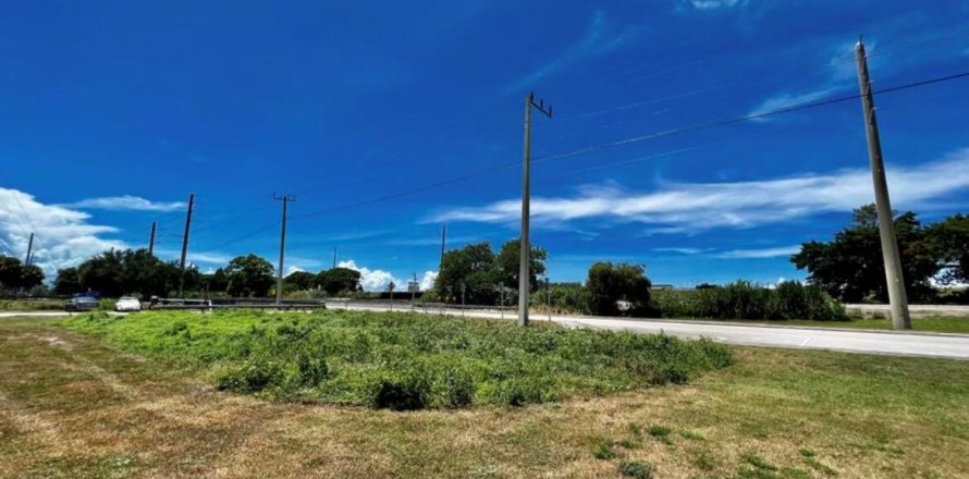 Land in Canal Point, Florida № 1141192