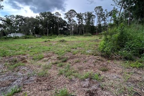 Land in Summerfield, Florida № 1908175 - photo 10