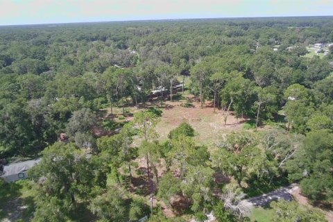 Land in Summerfield, Florida № 1908175 - photo 4