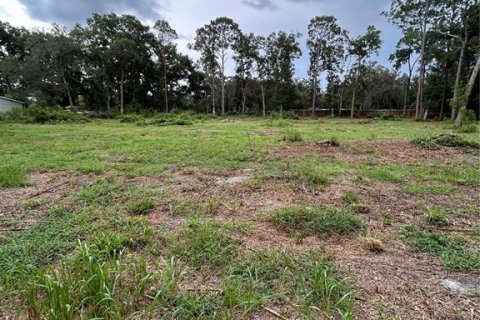Land in Summerfield, Florida № 1908175 - photo 8