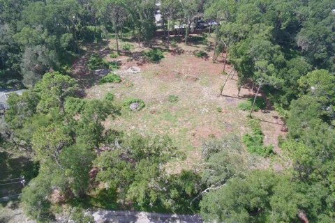 Land in Summerfield, Florida № 1908175 - photo 5