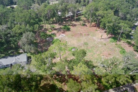 Land in Summerfield, Florida № 1908175 - photo 3