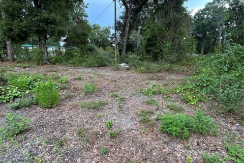 Land in Summerfield, Florida № 1908175 - photo 11