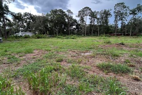 Land in Summerfield, Florida № 1908175 - photo 9