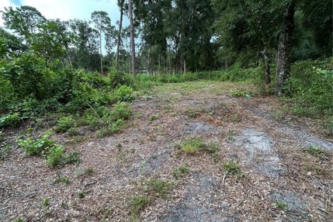 Land in Summerfield, Florida № 1908175 - photo 12