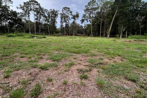 Land in Summerfield, Florida № 1908175 - photo 7