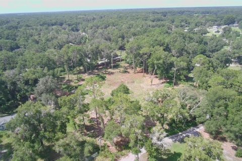 Land in Summerfield, Florida № 1908175 - photo 2