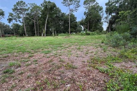 Land in Summerfield, Florida № 1908175 - photo 6