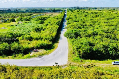 Commercial property in Homestead, Florida № 2001496 - photo 8