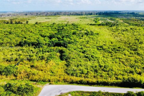 Commercial property in Homestead, Florida № 2001496 - photo 2