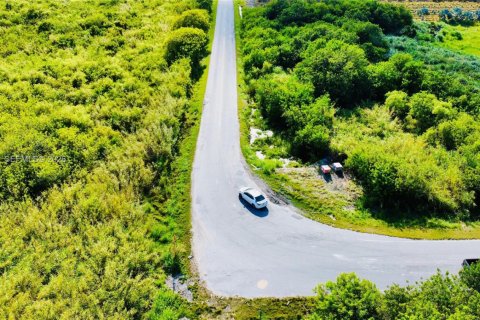 Commercial property in Homestead, Florida № 2001496 - photo 5