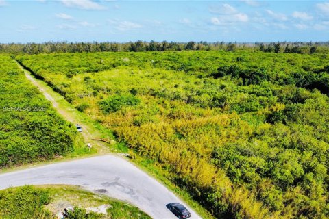 Commercial property in Homestead, Florida № 2001496 - photo 6