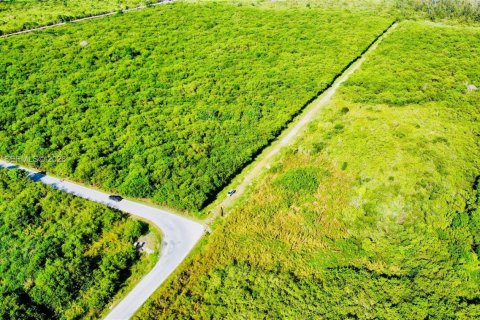 Commercial property in Homestead, Florida № 2001496 - photo 3