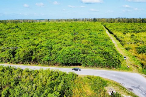 Commercial property in Homestead, Florida № 2001496 - photo 7