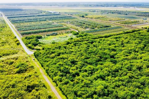 Commercial property in Homestead, Florida № 2001496 - photo 4