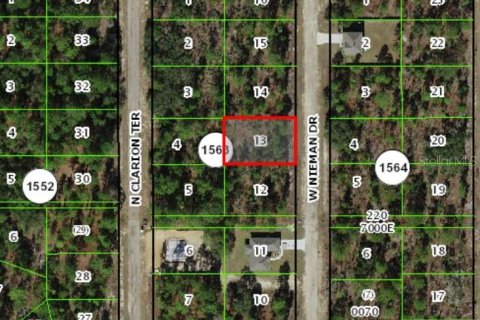 Land in Dunnellon, Florida № 2161373 - photo 2