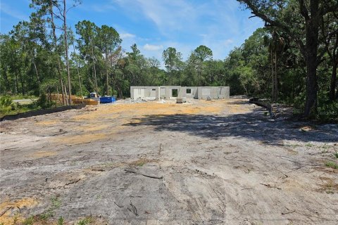 House in Eustis, Florida 4 bedrooms, 253.62 sq.m. № 1670835 - photo 7