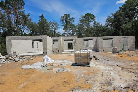 House in Eustis, Florida 4 bedrooms, 253.62 sq.m. № 1670835 - photo 12