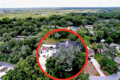 Villa ou maison à vendre à Dade City, Floride: 5 chambres, 273.6 m2 № 1907111 - photo 16