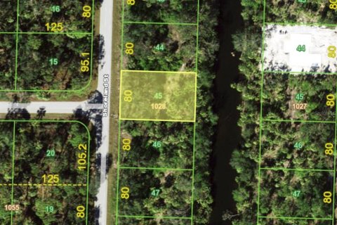 Land in Port Charlotte, Florida № 2160139