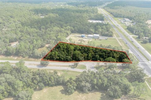 Land in Lecanto, Florida № 1403483 - photo 8