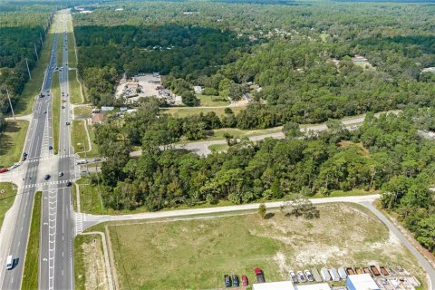 Land in Lecanto, Florida № 1403483 - photo 12
