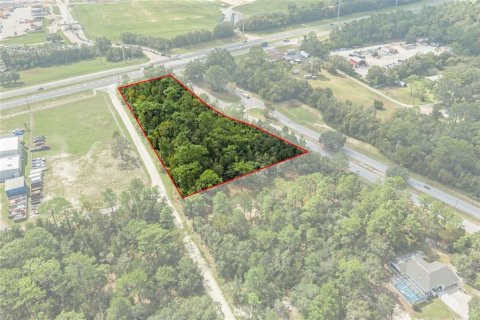 Land in Lecanto, Florida № 1403483 - photo 1