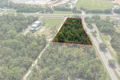 Land in Lecanto, Florida № 1403483 - photo 5