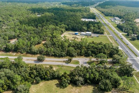 Land in Lecanto, Florida № 1403483 - photo 14