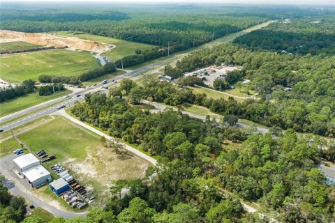 Land in Lecanto, Florida № 1403483 - photo 10