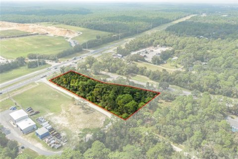 Land in Lecanto, Florida № 1403483 - photo 2