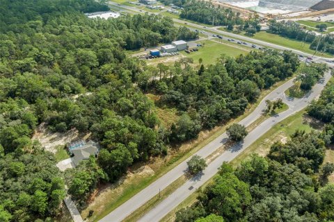 Land in Lecanto, Florida № 1403483 - photo 16