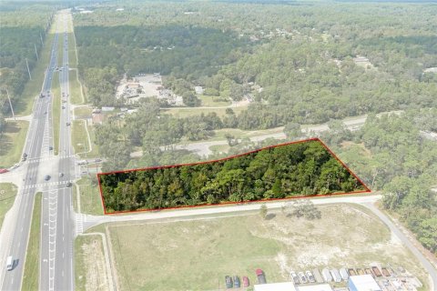 Land in Lecanto, Florida № 1403483 - photo 3