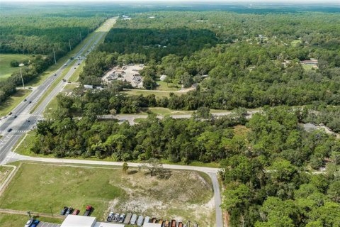 Land in Lecanto, Florida № 1403483 - photo 11