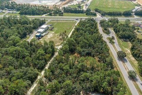 Land in Lecanto, Florida № 1403483 - photo 17