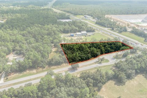 Land in Lecanto, Florida № 1403483 - photo 4
