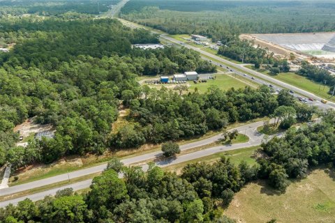 Land in Lecanto, Florida № 1403483 - photo 15