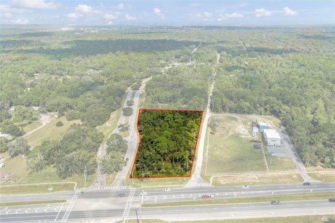Land in Lecanto, Florida № 1403483 - photo 6