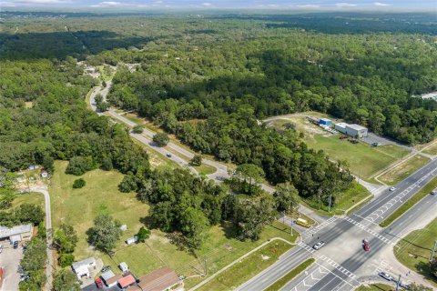 Land in Lecanto, Florida № 1403483 - photo 20