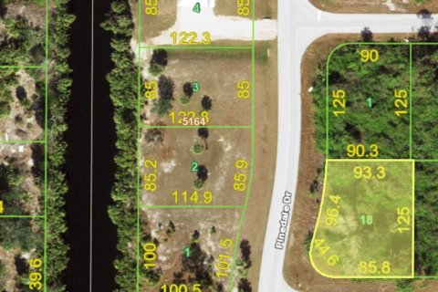 Land in Port Charlotte, Florida № 2164970 - photo 2