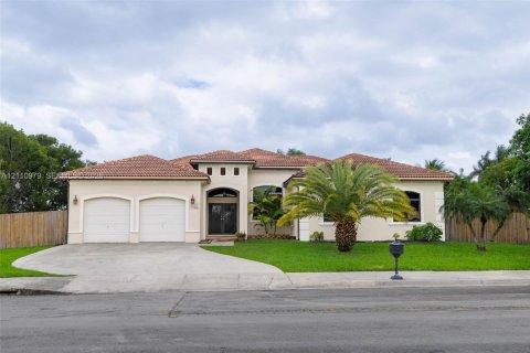 House in Homestead, Florida 4 bedrooms, 219.81 sq.m. № 2428463