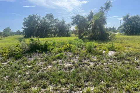 Land in Placida, Florida № 2159103 - photo 3