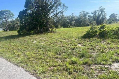 Land in Placida, Florida № 2159103 - photo 5