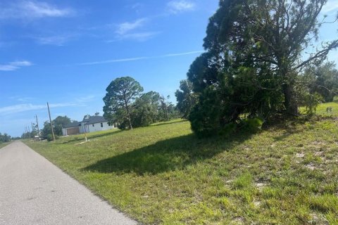 Land in Placida, Florida № 2159103 - photo 6