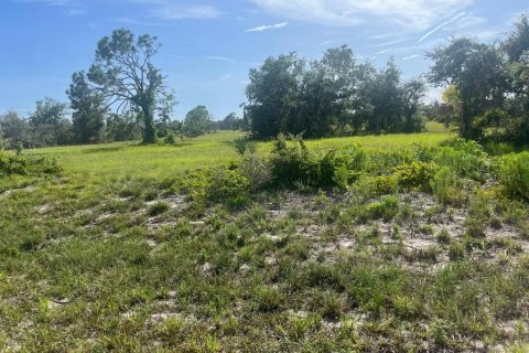 Land in Placida, Florida № 2159103 - photo 4