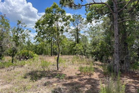Terreno en venta en Citrus Springs, Florida № 1689695 - foto 7