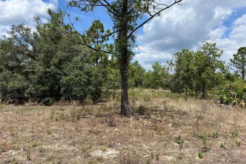 Terreno en venta en Citrus Springs, Florida № 1689695 - foto 6