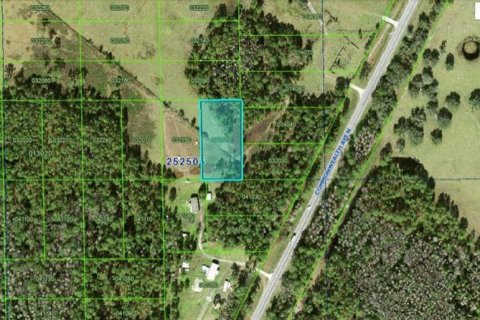 Terrain à Polk City, Floride № 2235290