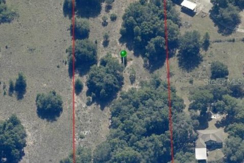 Terreno en venta en Dunnellon, Florida № 1907911 - foto 2